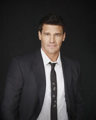 Boreanaz, David [Bones] Photo