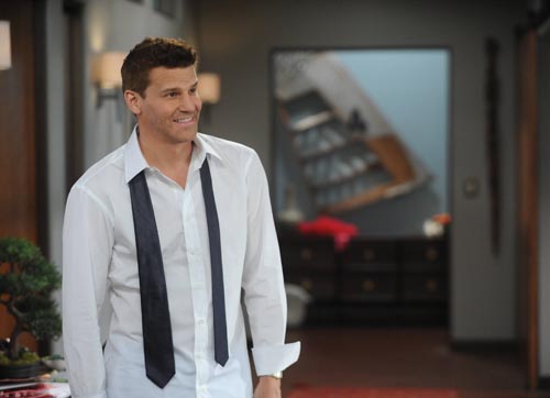 Boreanaz, David [Bones] Photo