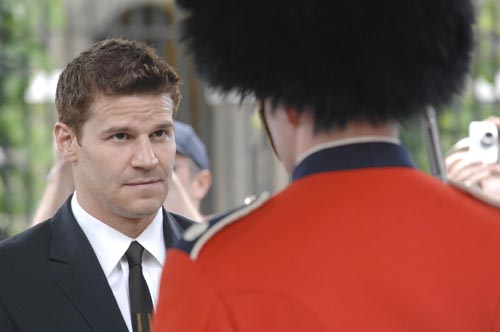 Boreanaz, David [Bones] Photo