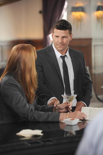 Boreanaz, David [Bones] Photo