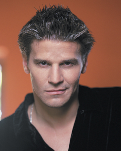 Boreanaz, David [Buffy The Vampire Slayer] Photo