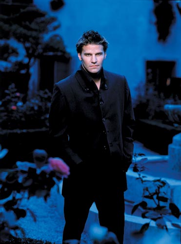 Boreanaz, David [Buffy the Vampire Slayer] Photo