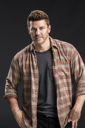 Boreanaz, David [SEAL Team] Photo