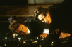Bridget Jones's Diary [Cast]