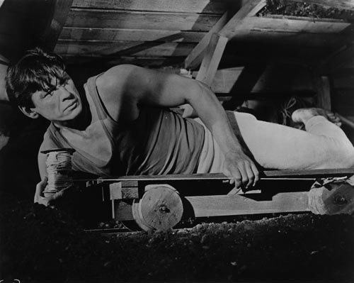 Bronson, Charles [The Great Escape] Photo