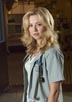 Cardellini, Linda [ER]