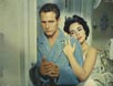 Cat On A Hot Tin Roof [Cast]