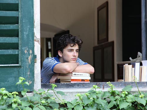 Chalmet, Timothee [Call Me by Your Name] Photo