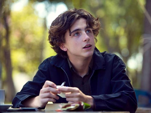 Chalmet, Timothee [Lady Bird]] Photo