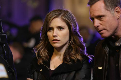 Chicago PD [Cast] Photo