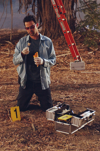 Cochrane, Rory [CSI : Miami] Photo