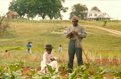 Color Purple, The [Cast] Photo