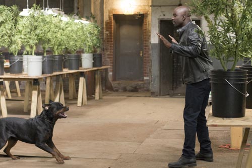 Colter, Mike [Jessica Jones] Photo