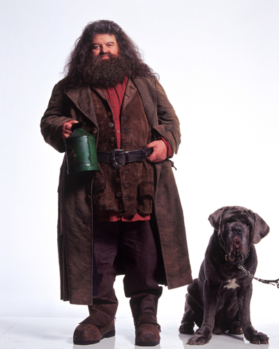 Coltrane, Robbie [Harry Potter] Photo