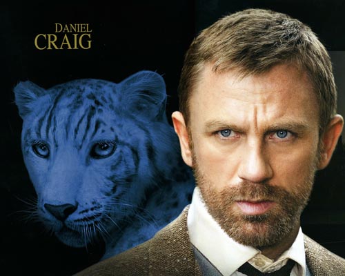 Craig, Daniel [The Golden Compass] Photo