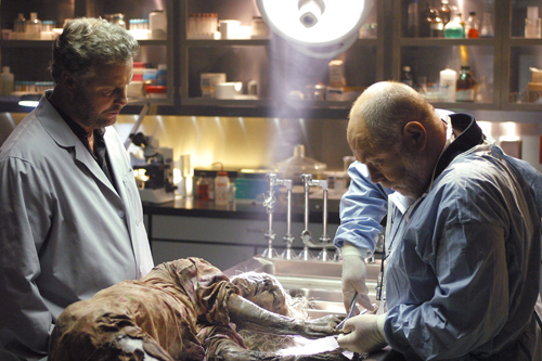 CSI : Crime Scene Investigation [Cast] Photo