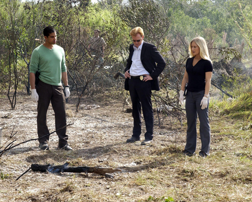 CSI : Miami [Cast] Photo