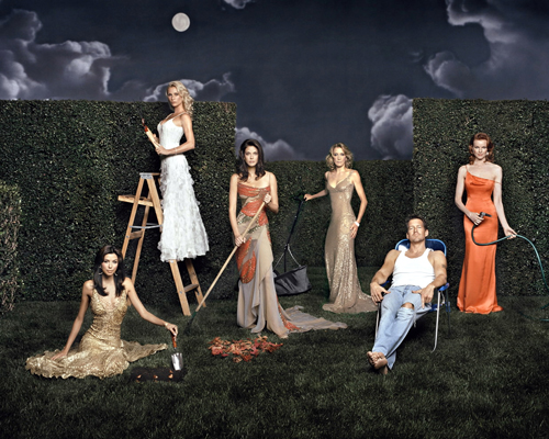 Desperate Housewives [Cast] Photo