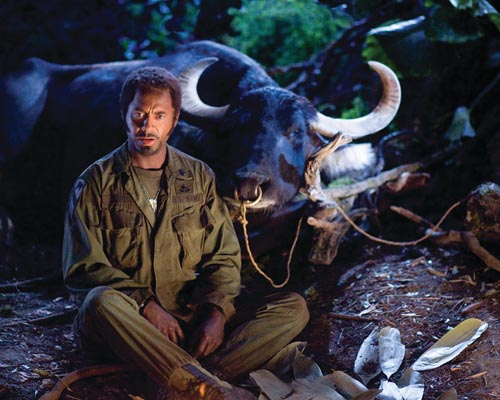 Downey Jr, Robert [Tropic Thunder] Photo