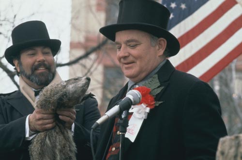 Doyle-Murray, Brian [Groundhog Day] Photo