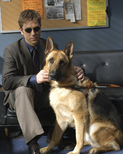 Eldard, Ron [Blind Justice] Photo