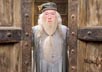 Gambon, Michael [Harry Potter]