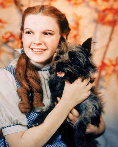 Garland, Judy [Wizard Of Oz] Photo