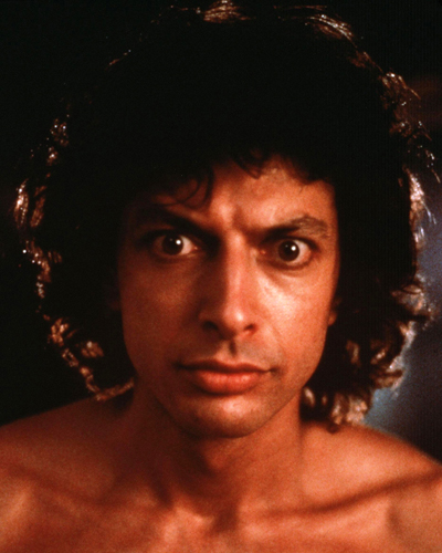 Goldblum, Jeff [The Fly] Photo