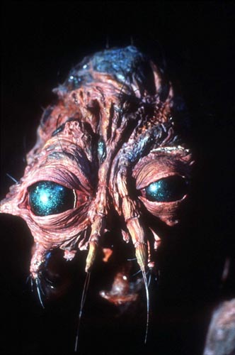 Goldblum, Jeff [The Fly] Photo