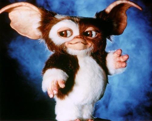 Gremlins [Cast] Photo