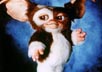 Gremlins [Cast]