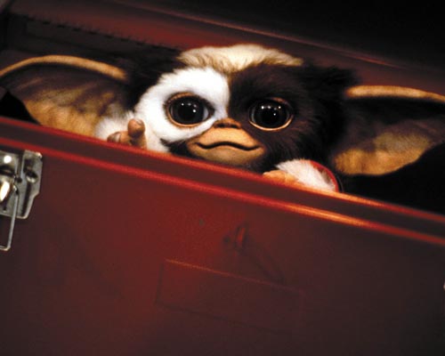 Gremlins [Cast] Photo