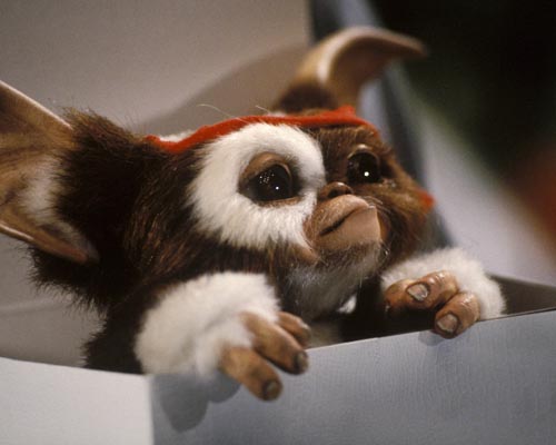 Gremlins [Cast] Photo