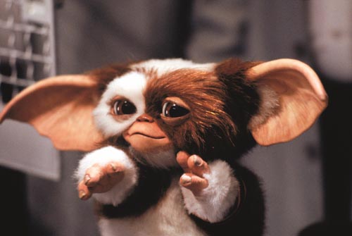 Gremlins [Cast] Photo