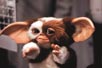 Gremlins [Cast]