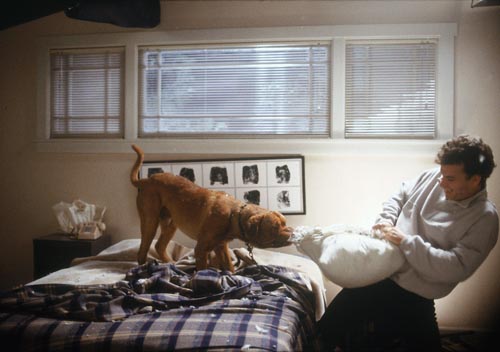 Hanks, Tom [Turner and Hooch] Photo