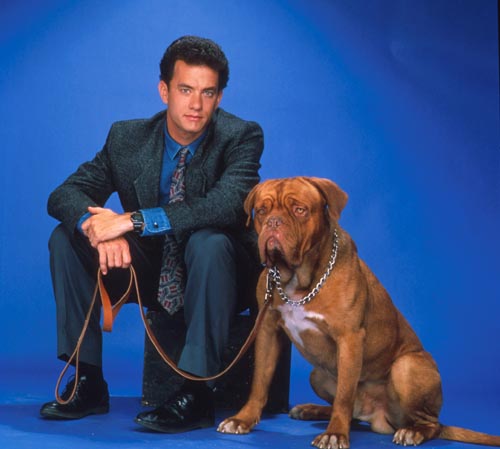 Hanks, Tom [Turner and Hooch] Photo