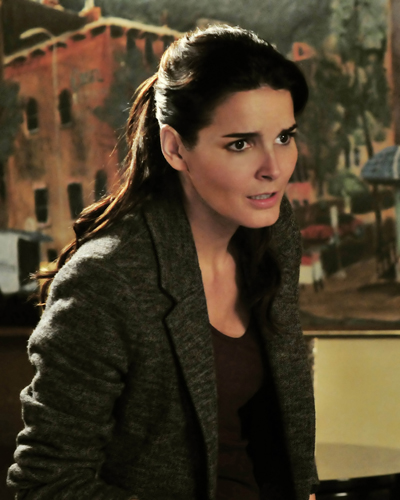 Harmon, Angie [Rizzoli and Isles] Photo