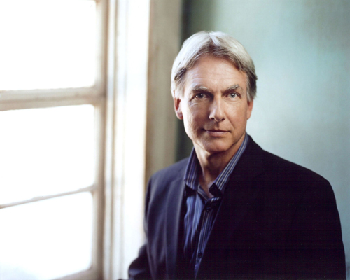 Harmon, Mark [NCIS] Photo