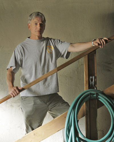 Harmon, Mark [NCIS] Photo