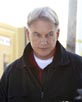 Harmon, Mark [NCIS]