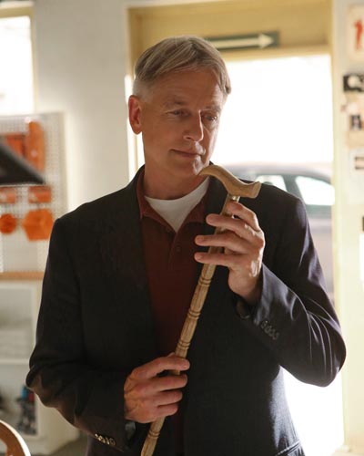 Harmon, Mark [NCIS] Photo