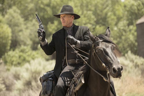 Harris, Ed [Westworld] Photo