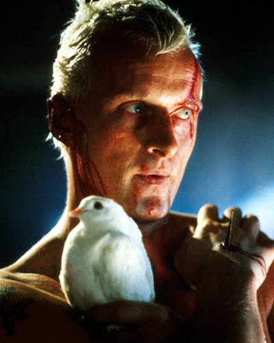 Hauer, Rutger [Blade Runner] Photo