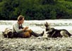 Hawke, Ethan [White Fang]