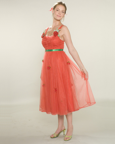 Heigl, Katherine [27 Dresses] Photo