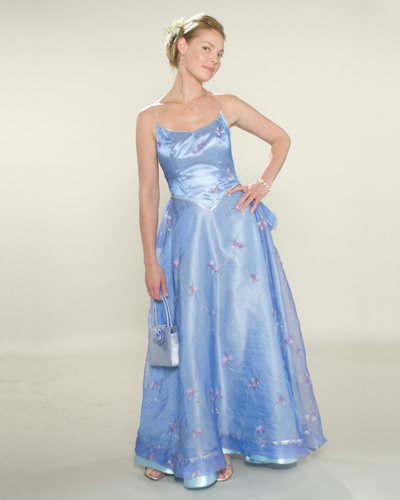 Heigl, Katherine [27 Dresses] Photo
