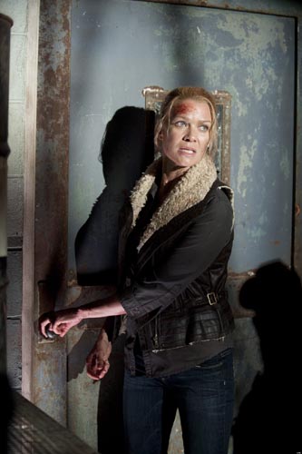 Holden, Laurie [The Walking Dead] Photo
