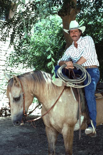 Horsley, Lee [Matt Houston] Photo