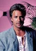 Johnson, Don [Miami Vice]